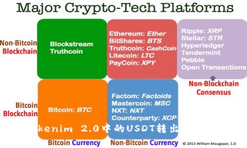 如何安全地将Tokenim 2.0中的USDT转出：详细指南与注意事项